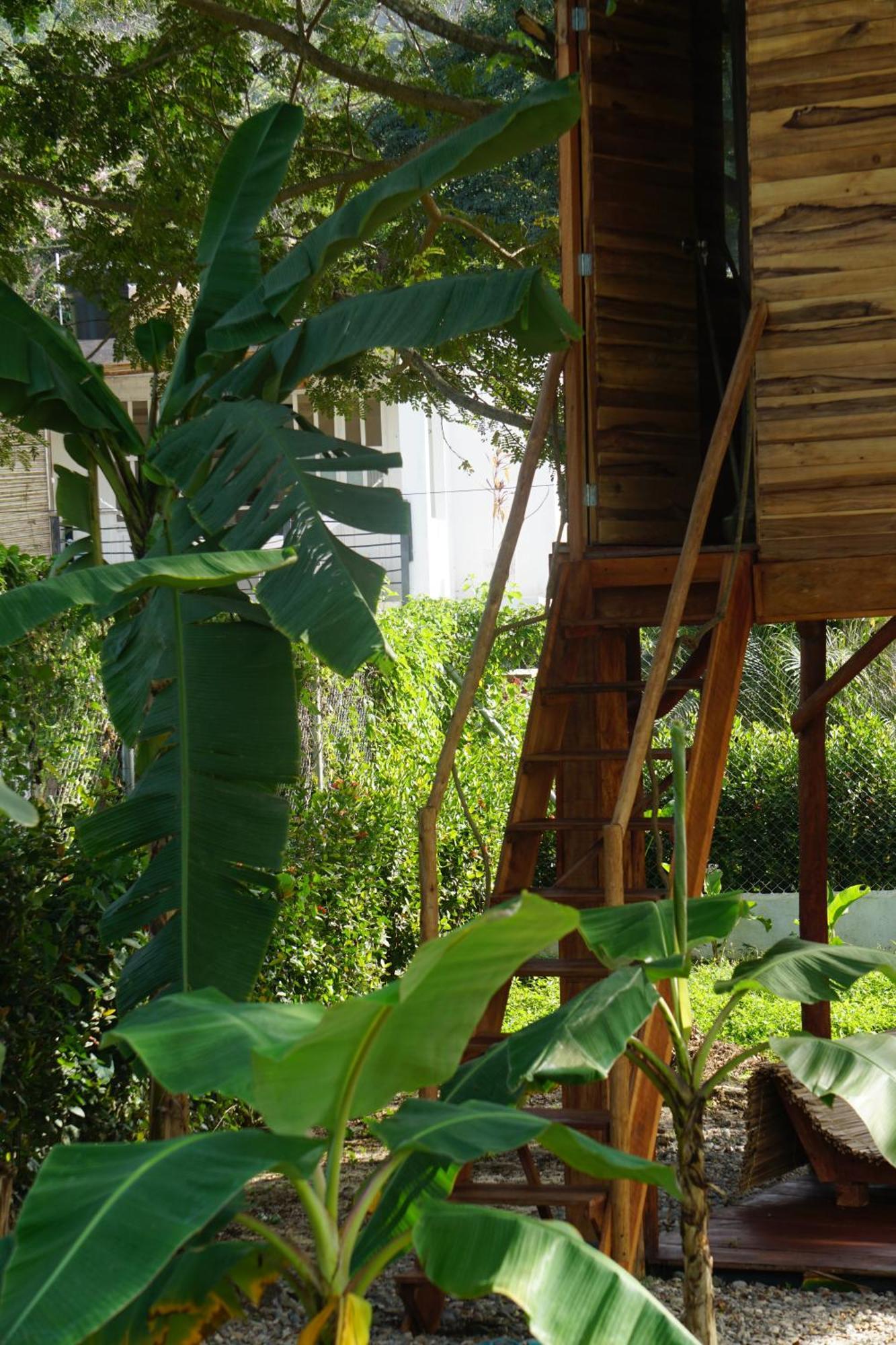 Atalaya Del Mar Palomino Hotel Екстериор снимка